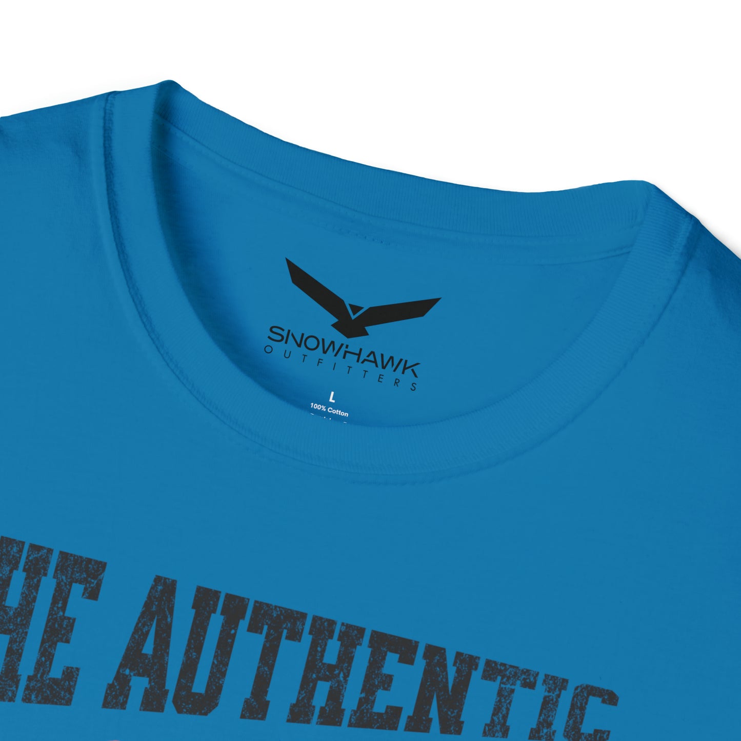 Born To Fly Authentic Vintage Airplane Unisex Softstyle T-Shirt