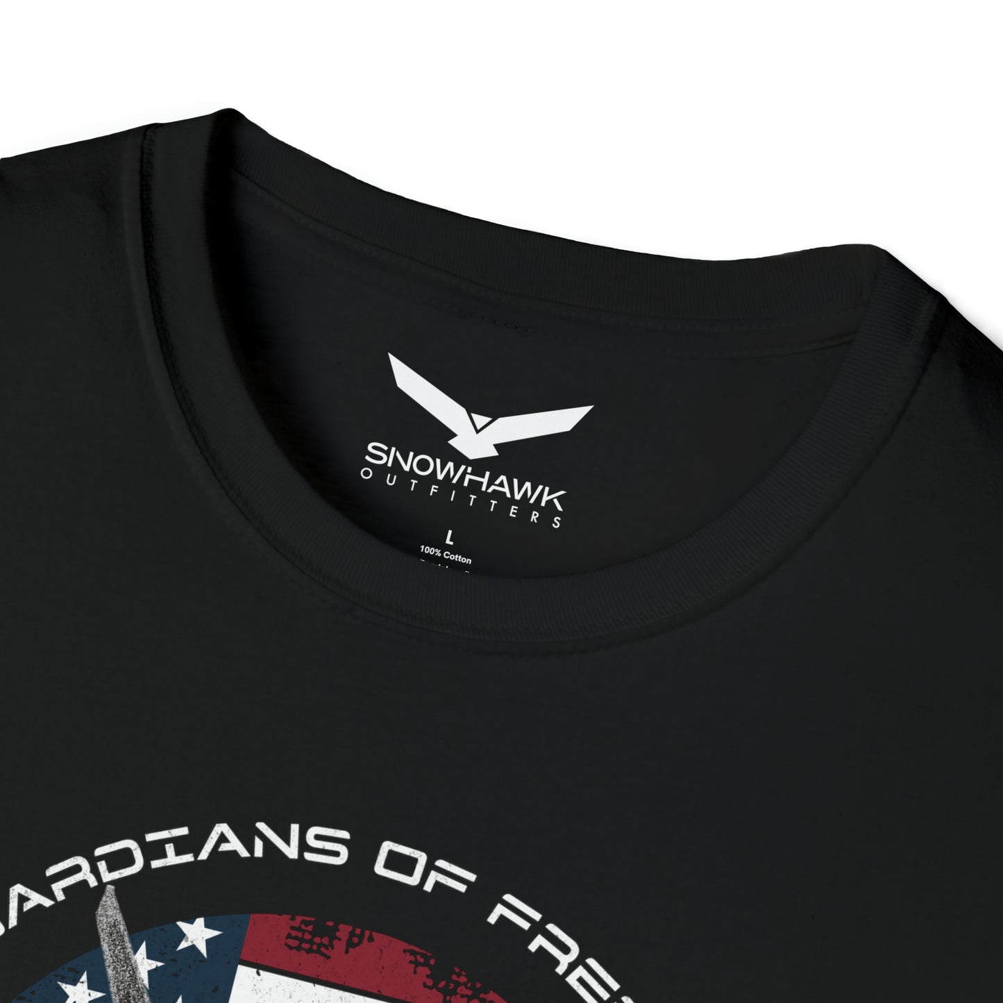 F-22 Raptor Unisex Softstyle T-Shirt